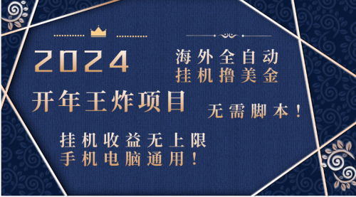 【副业项目8620期】2024海外撸美金项目！手机电脑均可-悠闲副业网