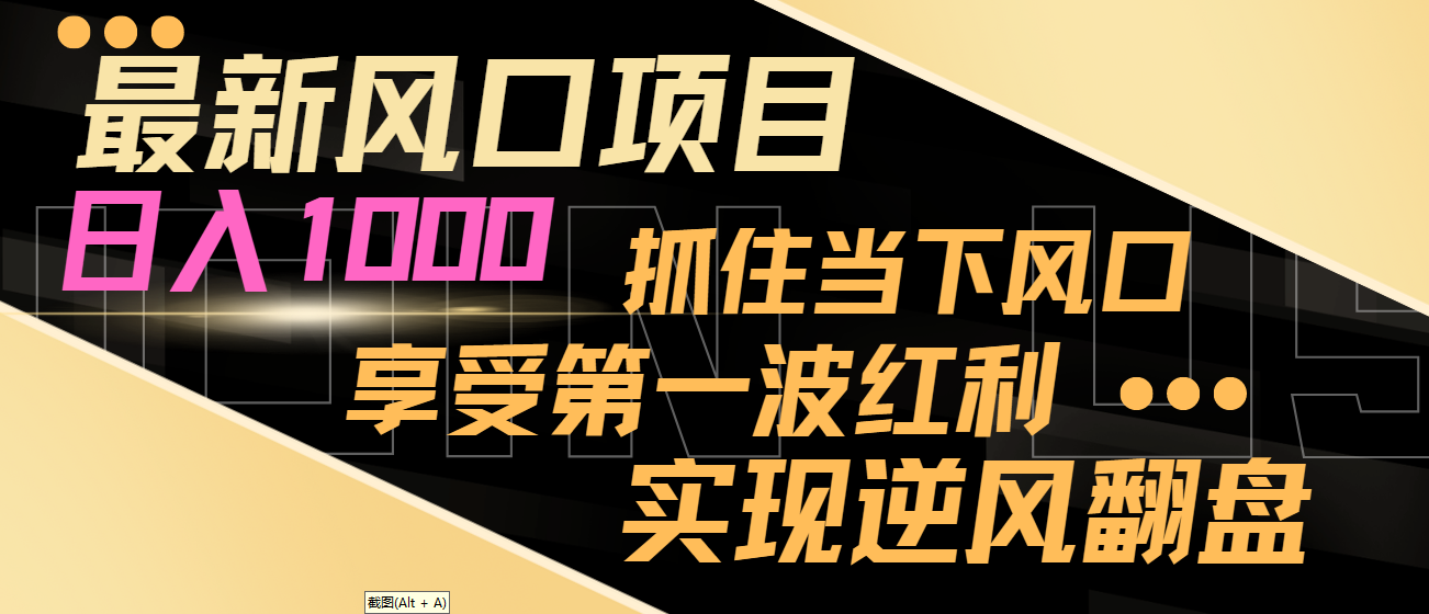 【副业8650期】最新风口项目，日入过千，抓住当下风口，享受第一波红利，实现逆风翻盘-悠闲副业网