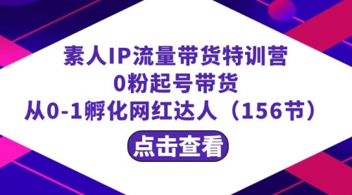 【副业8847期】繁星·计划素人IP流量带货特训营：0粉起号带货 从0-1孵化网红达人（156节）-悠闲副业网