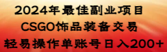 【副业8982期】2024年最佳副业项目 CSGO饰品装备交易 轻易操作单账号日入200+-悠闲副业网