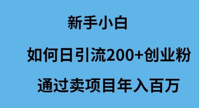 新手小白如何日引流200+创业粉通过卖项目年入百万-悠闲副业网