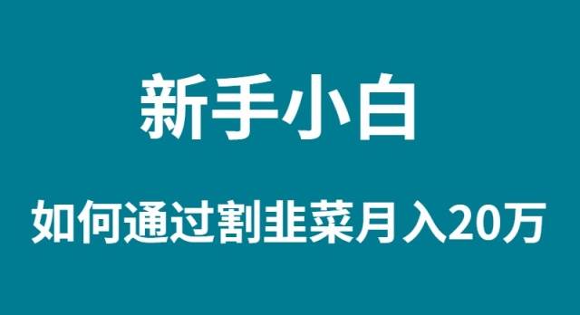 新手小白如何通过割韭菜月入 20W-悠闲副业网