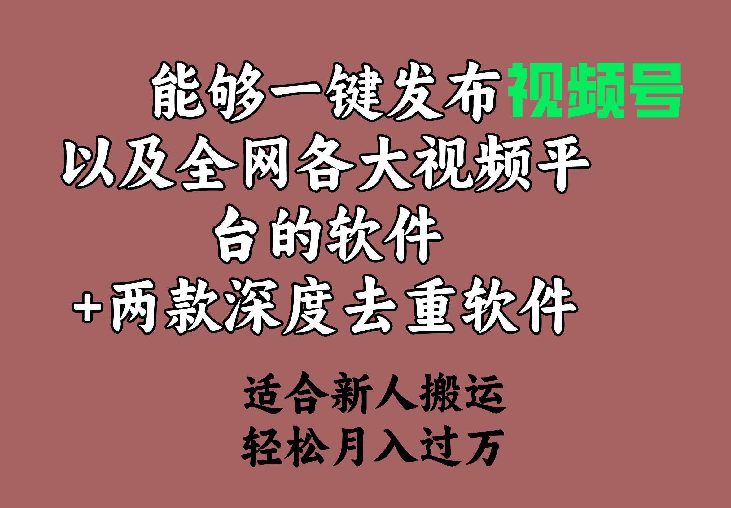 能够一键发布视频号以及全网各大视频平台的软件+两款深度去重软件 适合…-悠闲副业网