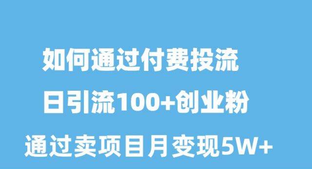 如何通过付费投流日引流100+创业粉月变现5W+-悠闲副业网