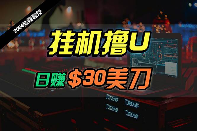 日赚30美刀，2024最新海外挂机撸U内部项目，全程无人值守，可批量放大-悠闲副业网