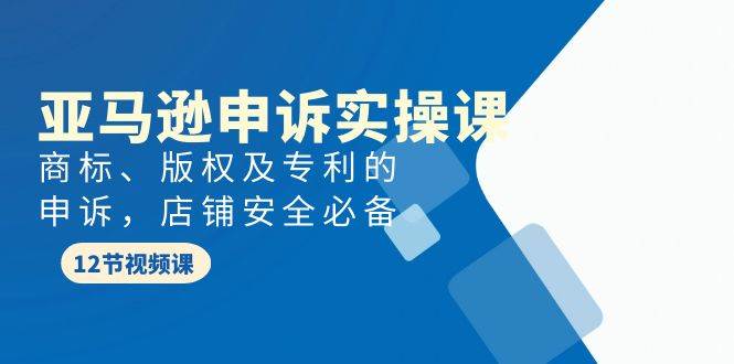 亚马逊-申诉实战课，商标、版权及专利的申诉，店铺安全必备-悠闲副业网