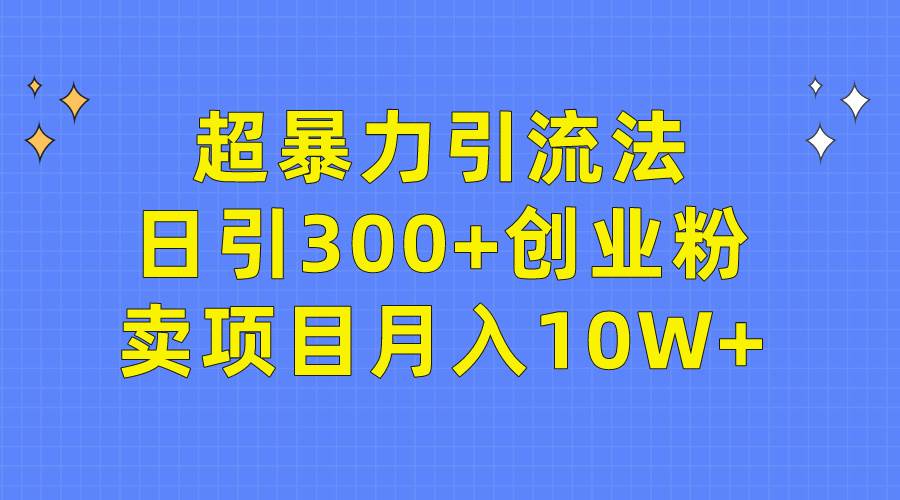 超暴力引流法，日引300+创业粉，卖项目月入10W+-悠闲副业网