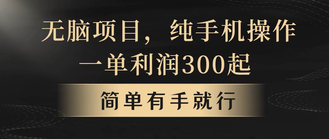 无脑项目，一单几百块，轻松月入5w+，看完就能直接操作-悠闲副业网