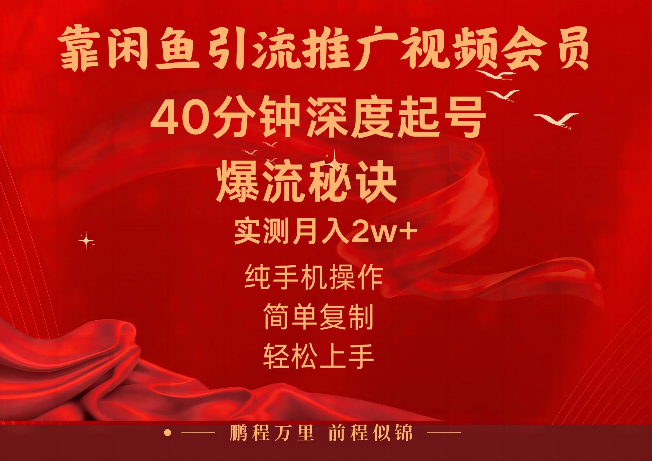 闲鱼暴力引流推广视频会员，能做到日入2W+，操作简单-悠闲副业网