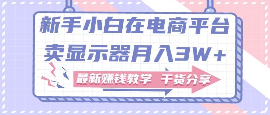 新手小白如何做到在电商平台卖显示器月入3W+，最新赚钱教学干货分享-悠闲副业网