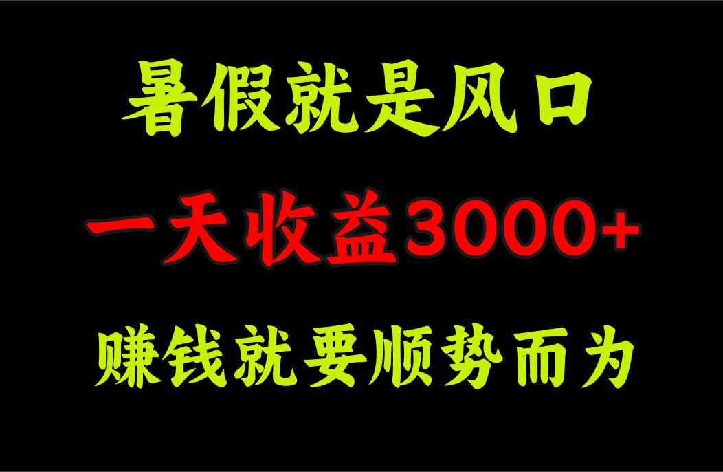 一天收益3000+ 赚钱就是顺势而为，暑假就是风口-悠闲副业网