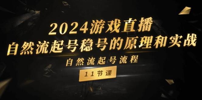 2024游戏直播-自然流起号稳号的原理和实战，自然流起号流程（11节）-悠闲副业网