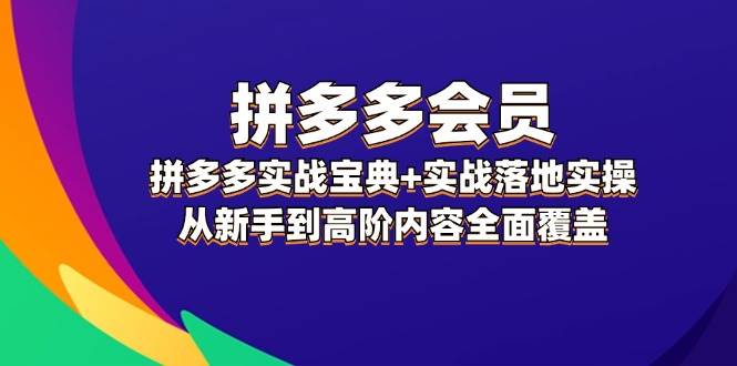 拼多多 会员，拼多多实战宝典+实战落地实操，从新手到高阶内容全面覆盖-悠闲副业网