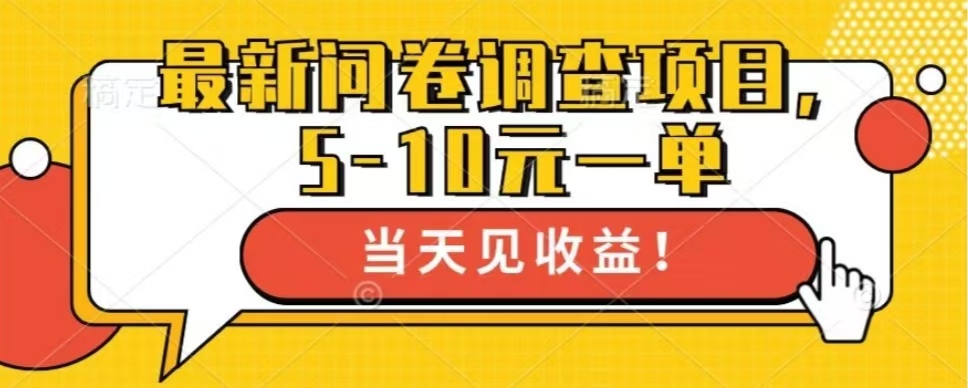 最新问卷调查项目，共12个平台，单日零撸100＋-悠闲副业网