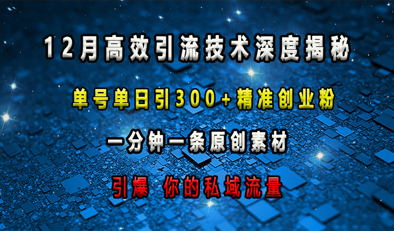 12月高效引流技术深度揭秘 ，单号单日引300+精准创业粉，一分钟一条原创素材，引爆你的私域流量-悠闲副业网