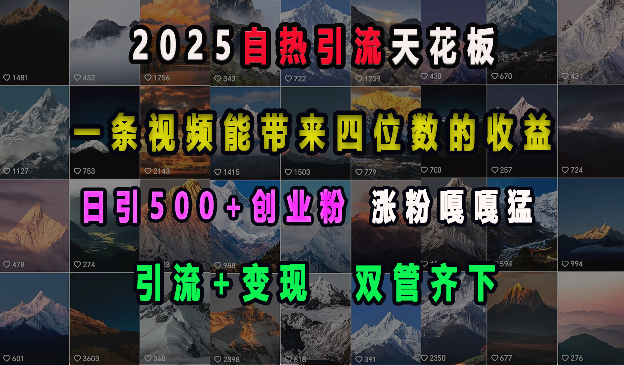 2025自热引流天花板，一条视频能带来四位数的收益，引流+变现双管齐下，日引500+创业粉，涨粉嘎嘎猛-悠闲副业网