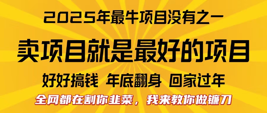 全网都在割你韭菜，我来教你做镰刀。卖项目就是最好的项目，2025年最牛互联网项目-悠闲副业网