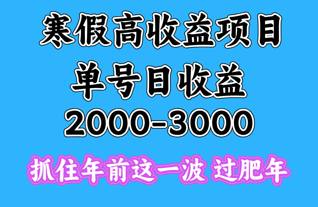 寒假期间一天收益2000-3000+，抓住年前这一波-悠闲副业网