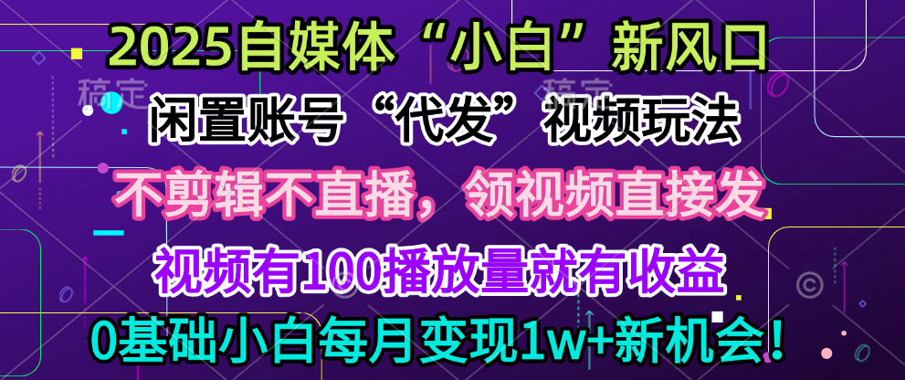 2025每月躺赚5w+新机会，闲置视频账号一键代发玩法，0粉不实名不剪辑，领了视频直接发，0基础小白也能日入300+-悠闲副业网