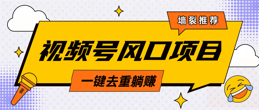 视频号风口蓝海项目，中老年人的流量密码，简单无脑，一键去重，轻松月入过万-悠闲副业网