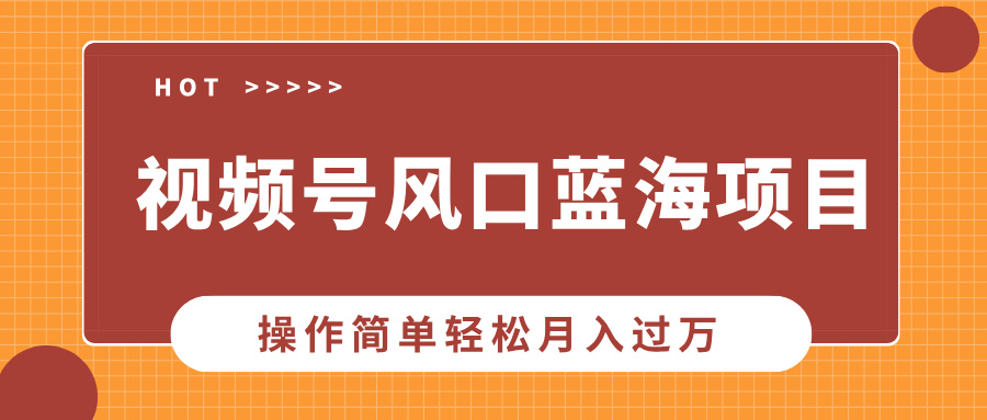 视频号风口蓝海项目，中老年人的流量密码，操作简单轻松月入过万-悠闲副业网